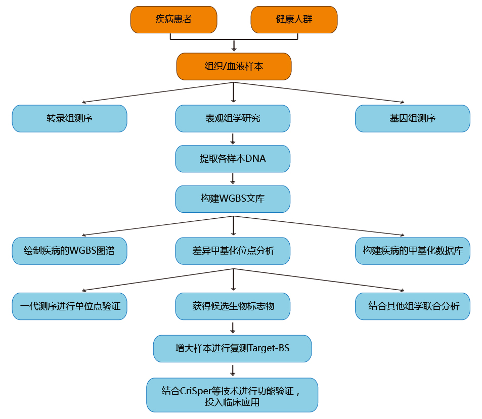 图7 基于dna甲基化测序技术的精准医学研究思路.jpg