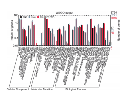 SNPs、Indels和SVs三种变异类型相关的基因WEGG注释.png