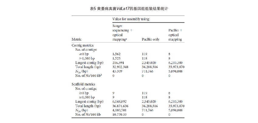 表5. 黄萎病真菌VdLs17的基因组组装结果统计