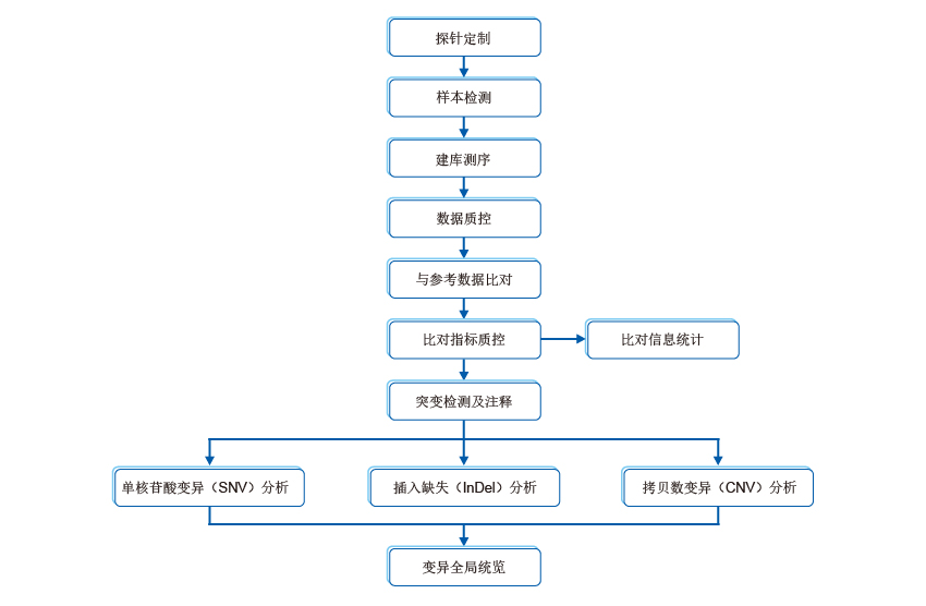 目标区域测序技术流程