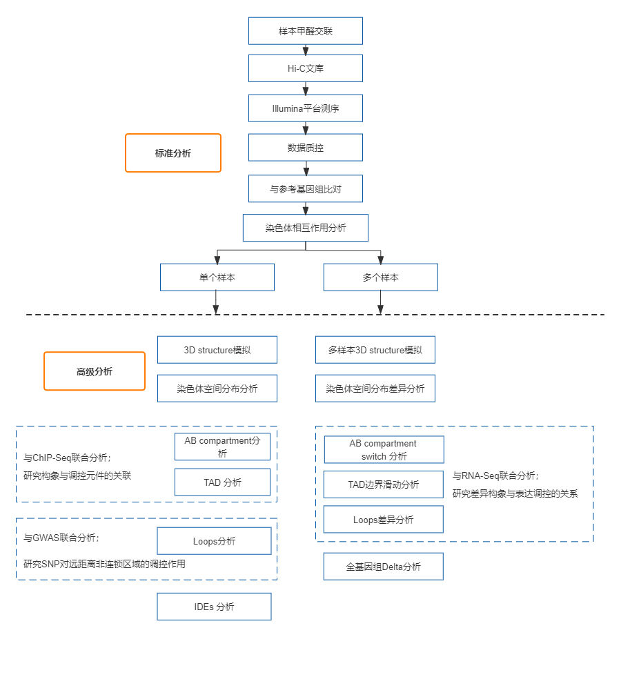 25、动物群体细胞Hi-C测序.png