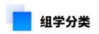 组学分类.png