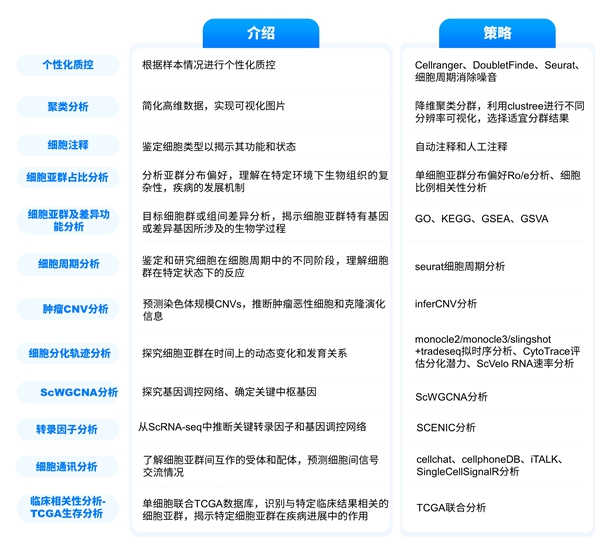 单细胞个性化表.JPG