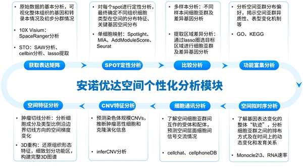 空间个性化表.jpg